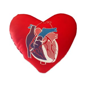 Heart Pillow
